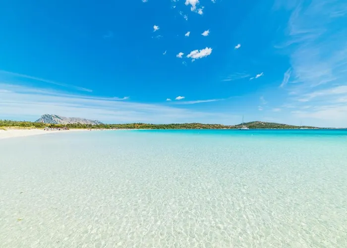 Hotel Al Lungomare Olbia